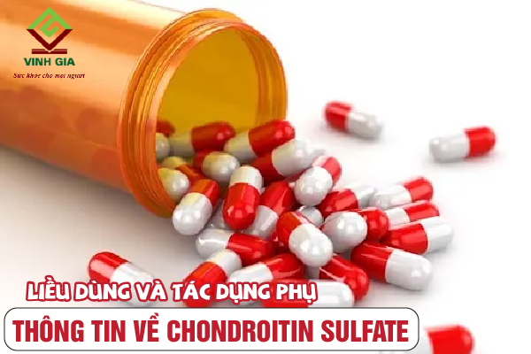 Nắm rõ liều dùng và tác dụng phụ của thuốc Chondroitin Nắm rõ liều dùng và tác dụng phụ của thuốc Chondroitin