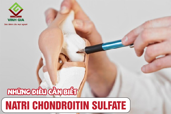 Những điều cần biết về Natri Chondroitin Sulfate