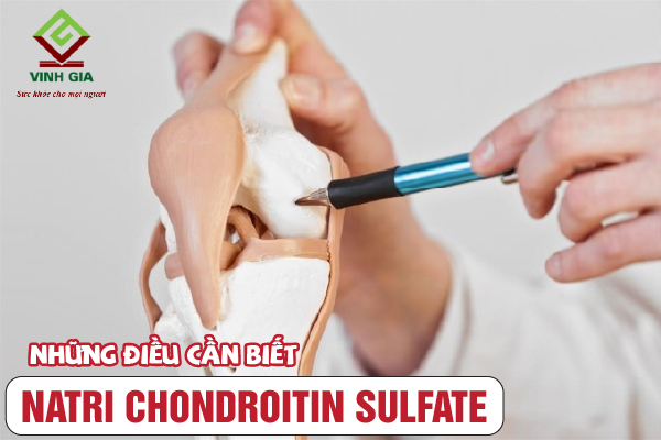 Những điều cần biết về Natri Chondroitin Sulfate Những điều cần biết về Natri Chondroitin Sulfate