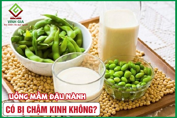 [CẨM NANG] Uống mầm đậu nành bị chậm kinh không?