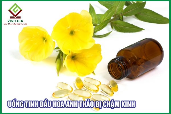 Uống tinh dầu hoa anh thảo có bị chậm kinh không?
