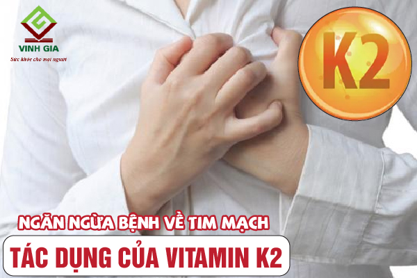 Vitamin K2 giúp ngăn ngừa các bệnh về tim mạch