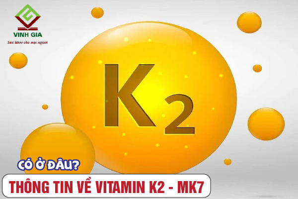 Vitamin K2 MK7 sở hữu ở đâu?