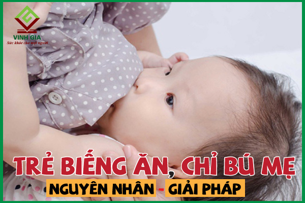Giải pháp cho trẻ biếng ăn chỉ bú mẹ