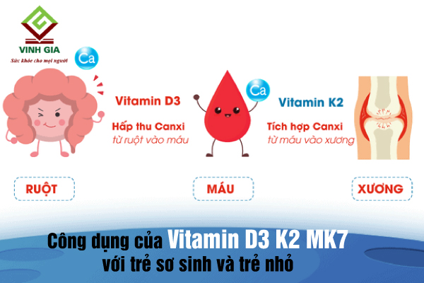 Vitamin D3 K2 MK7 giúp tăng cường hấp thu canxi, tăng hệ miễn dịch Vitamin D3 K2 MK7 giúp tăng cường hấp thu canxi, tăng hệ miễn dịch