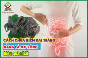 8 cách chữa viêm đại tràng bằng lá mơ lông