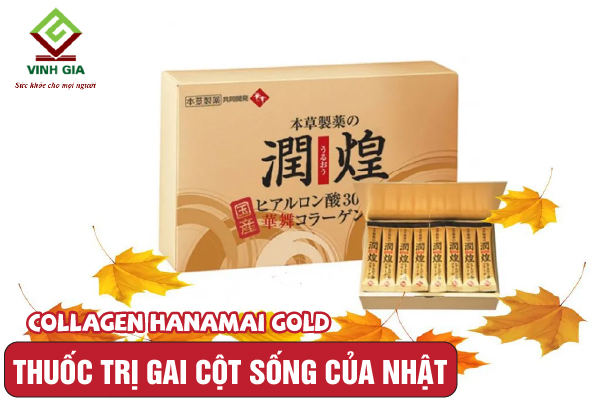 Bột Collagen Hanamai Gold hỗ trợ trị gai cột sống của Nhật