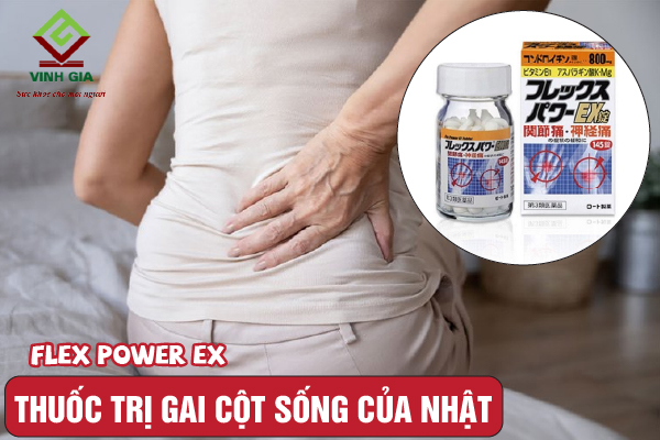 Flex Power Ex Nhật bản hỗ trợ điều trị gai cột sống Flex Power Ex Nhật bản hỗ trợ điều trị gai cột sống