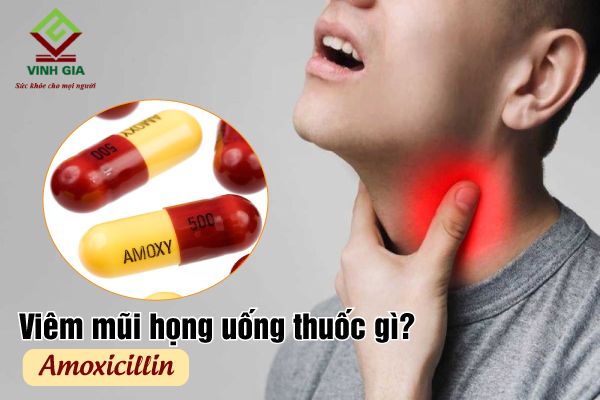Thuốc kháng sinh chữa bệnh viêm mũi họng có Amoxicillin Thuốc kháng sinh chữa bệnh viêm mũi họng có Amoxicillin