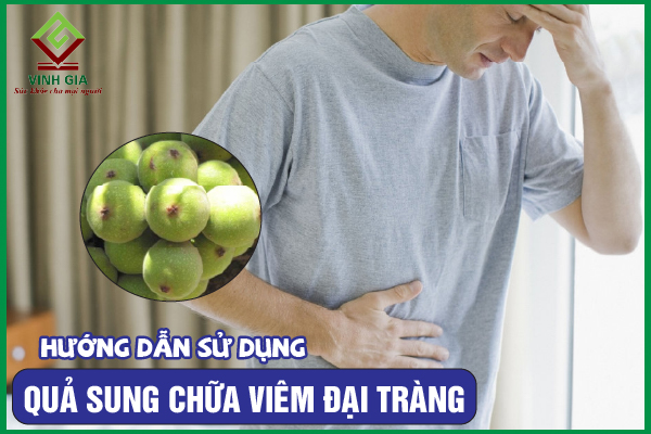 Cách dùng quả sung giảm viêm đại tràng hiệu quả bất ngờ