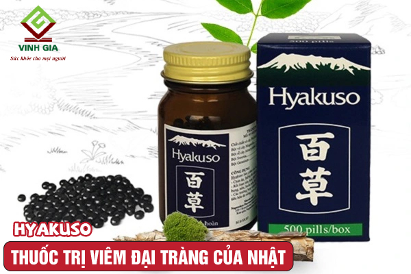 Viên uống đại tràng của Nhật Hyakuso Viên uống đại tràng của Nhật Hyakuso