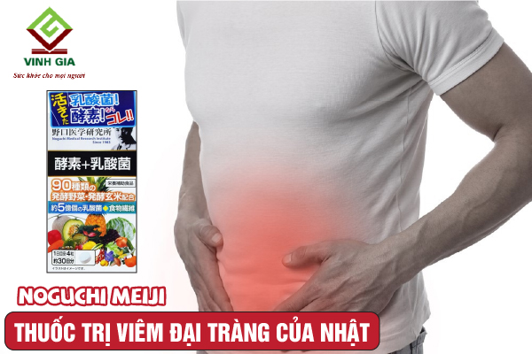 Viên uống hỗ trợ tiêu hóa cho người bị viêm đại tràng Noguchi Meiji Viên uống hỗ trợ tiêu hóa cho người bị viêm đại tràng Noguchi Meiji