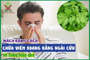 5 cách chữa viêm xoang bằng ngải cứu cực kỳ hữu hiệu