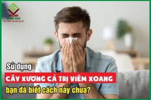 Cây xương cá trị viêm xoang hiệu quả bạn đã thử chưa?