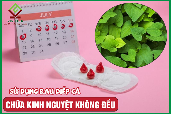 Cách khắc phục kinh nguyệt không đều bằng rau diếp cá hiệu quả