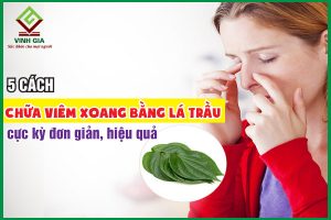 5 cách chữa viêm xoang bằng lá trầu không tại nhà cực kỳ hiệu quả