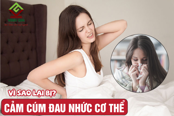 Bị cảm cúm gây đau nhức cơ thể là do đâu?