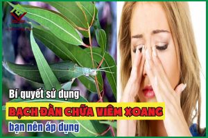 Bí quyết dùng lá bạch đàn chữa viêm xoang bạn nên thử