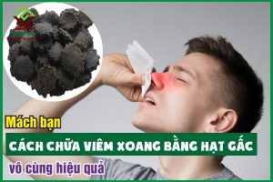 Mách bạn cách chữa viêm xoang bằng hạt gấc đơn giản, hiệu quả