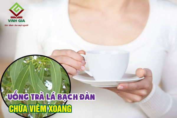 Uống trà lá bạch đàn giúp cải thiện bệnh viêm xoang hiệu quả