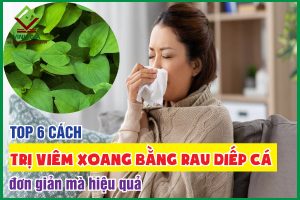 6 cách trị viêm xoang bằng rau diếp cá đơn giản, hiệu quả