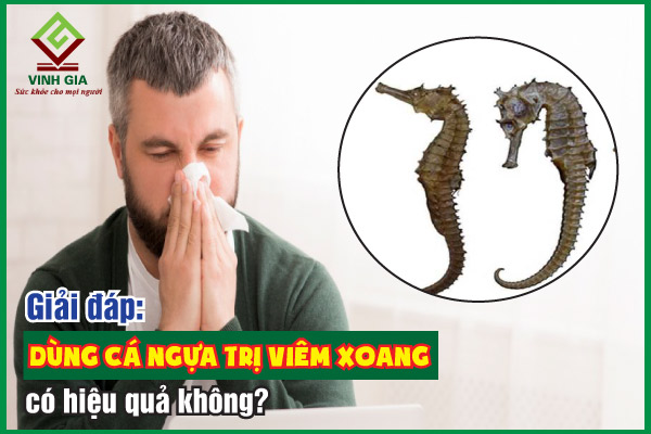 Dùng cá ngựa trị viêm xoang có thực sự hiệu quả không?