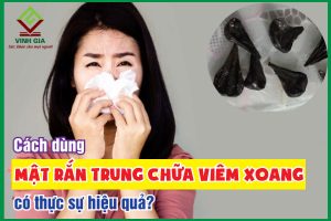 Dùng mật rắn trung trị viêm xoang liệu có hiệu quả?