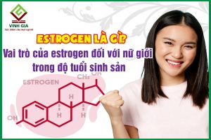 Estrogen là gì? Vai trò của estrogen đối với nữ giới trong độ tuổi sinh sản