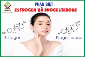 Cách phân biệt estrogen và progesterone
