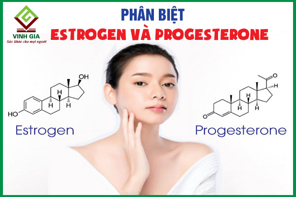 Phân biệt estrogen và progesterone? Chúng có gì khác nhau?