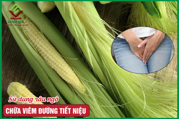 Bị viêm đường tiết niệu uống nước râu ngô có khỏi không?