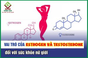 Estrogen và Testosterone có vai trò gì với phụ nữ?