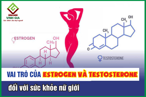 Estrogen và Testosterone có vai trò gì trong cơ thể phụ nữ?