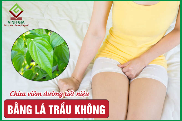 3 Cách chữa viêm đường tiết niệu bằng lá trầu không
