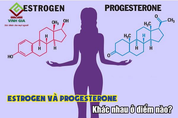 Phân biệt sự khác nhau giữa Estrogen và Progesterone như thế nào? Phân biệt sự khác nhau giữa estrogen và progesterone như thế nào?
