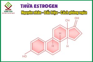 Thừa estrogen: Nguyên nhân, dấu hiệu và cách phòng ngừa