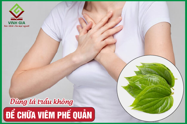 5 cách chữa viêm phế quản bằng lá trầu không tốt nhất