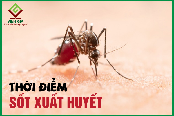 Biết thời điểm sốt xuất huyết thường xảy ra để phòng bệnh hiệu quả hơn
