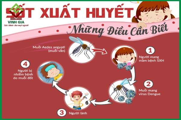 Những điều cần biết về sốt xuất huyết