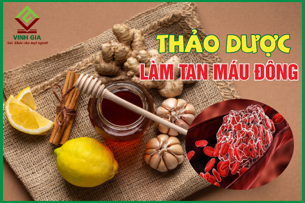 Điểm danh 4 thảo dược chống đông máu quen thuộc, dễ tìm