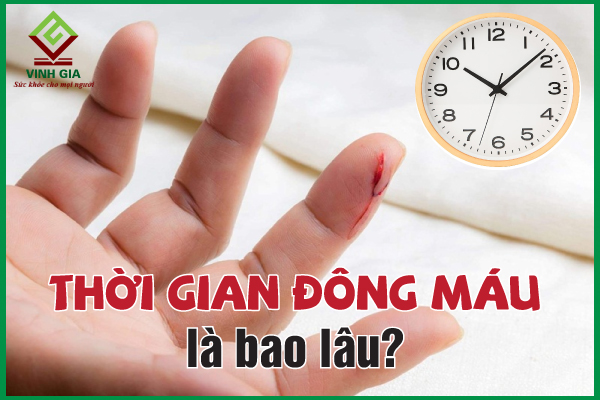 Thời gian máu đông là bao lâu? Ý nghĩa, chức năng đông máu